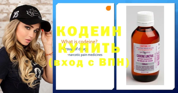 гашик Корсаков