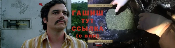 гашик Корсаков