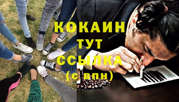 гашик Корсаков