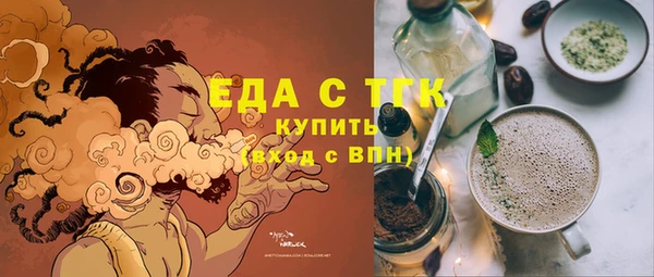гашик Корсаков
